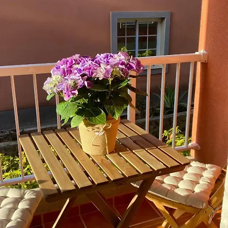 Apartment Elegante Piso En